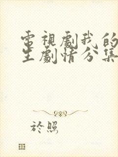 电视剧我的后半生剧情分集介绍