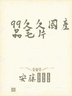 99久久国产精品毛片