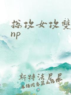 总攻女攻双性受np
