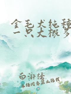 金毛犬纯种幼犬一只大概多少钱