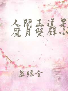 人间正道是沧桑魔月双壁小说