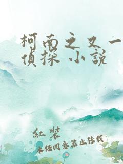 柯南之又一个名侦探 小说