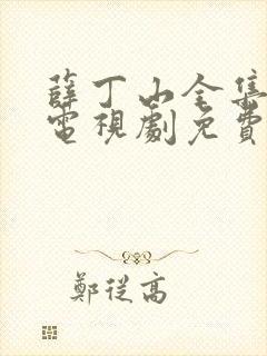 薛丁山全集40电视剧免费观看