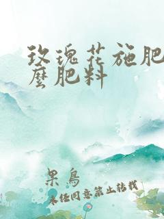 玫瑰花施肥施什么肥料