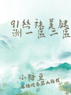 91丝袜美腿亚洲一区二区