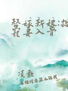 替嫁新娘:总裁宠妻入骨