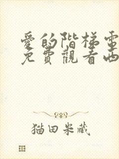 爱的阶梯电视剧免费观看西瓜