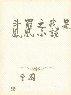 斗罗之我是瑞兽凤凰小说