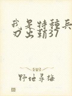 我是特种兵之利刃出鞘37