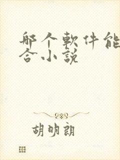 哪个软件能看百合小说