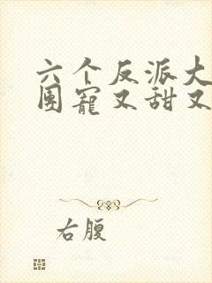 六个反派大佬的团宠又甜又狂小说