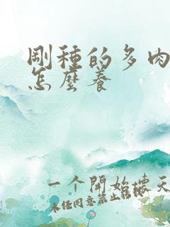 刚种的多肉植物怎么养