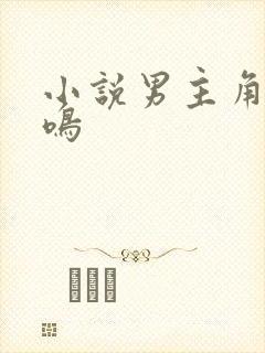 小说男主角叫陆鸣