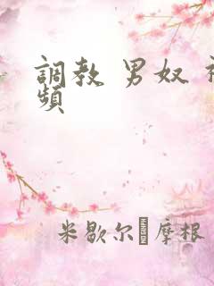 调教 男奴 视频