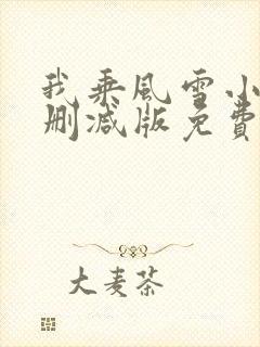 我乘风雪小说无删减版免费阅读