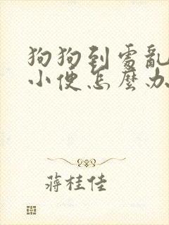 狗狗到处乱拉大小便怎么办 狗狗到处乱拉大小便怎么办