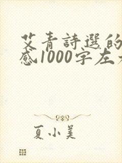 艾青诗选的读后感1000字左右