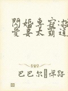 闪婚专宠:总裁爱妻太霸道 闪婚专宠:总裁爱妻太霸道