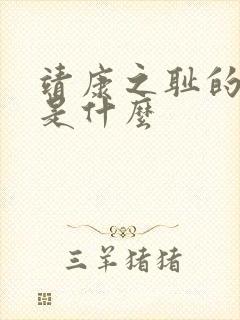 靖康之耻的真相是什么