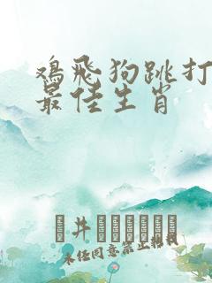 鸡飞狗跳打一个最佳生肖