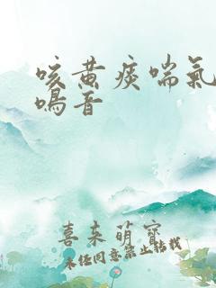 咳黄痰喘气有痰鸣音