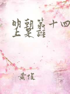 明朝第十四代皇上是谁 明朝第十四代皇上是谁