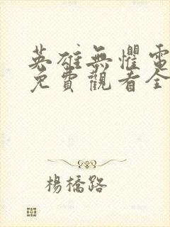 英雄无惧电视剧免费观看全集