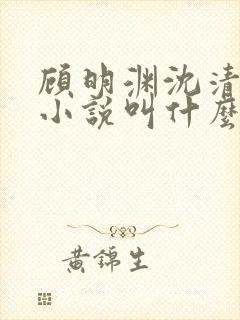 顾明渊沈清烟的小说叫什么名字 顾明渊沈清烟的小说叫什么名字