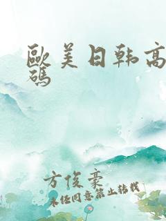 欧美日韩高清有码