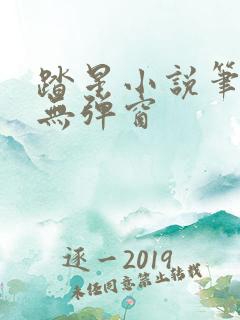 踏星小说笔趣阁无弹窗