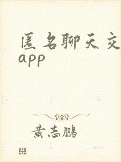 匿名聊天交友的app 匿名聊天交友的app
