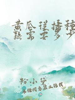 黄瓜从播种到成熟需要多少时间
