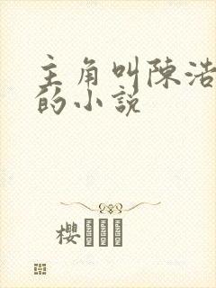 主角叫陈浩村官的小说