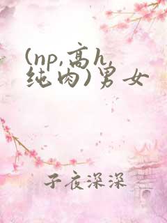 (np,高h,纯肉)男女