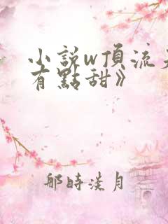 小说w顶流夫妇有点甜》