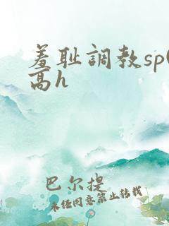 羞耻调教sp(高h