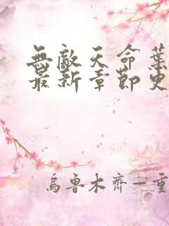 无敌天命叶天命最新章节更新