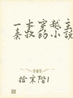 一本穿越主角叫秦牧的小说