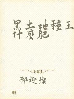 黑土地种玉米施什么肥