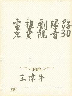 电视剧归路全集免费观看30集完整版
