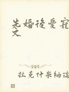 先婚后爱宠文甜文