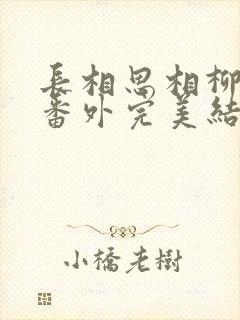 长相思相柳小夭番外完美结局