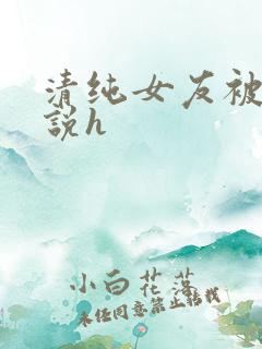 清纯女友被c小说h