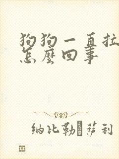 狗狗一直拉软便怎么回事