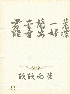 君子兰一叶小苗能看出好坏吗