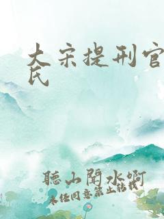 大宋提刑官 何氏