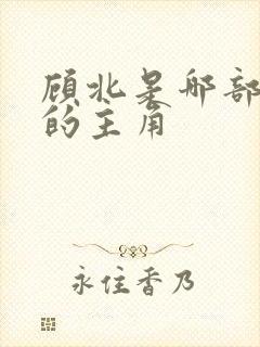 顾北是哪部小说的主角