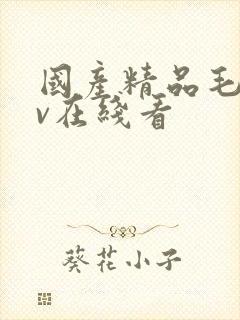 国产精品毛片av在线看