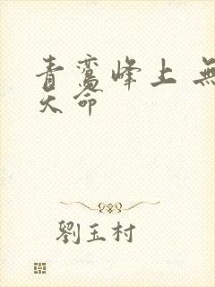 青鸾峰上 无敌天命
