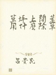 草坪上阔叶杂草用什么除草剂